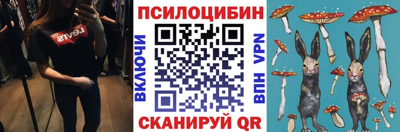 Галлюциногенные грибы MAGIC MUSHROOMS  KRAKEN как зайти  Свирск 